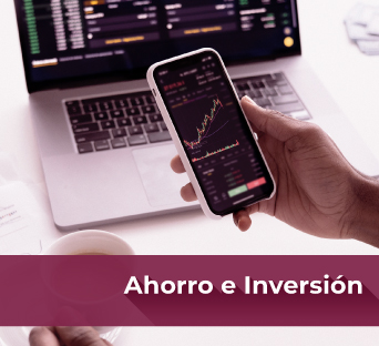 Simulador de Ahorro e Inversión