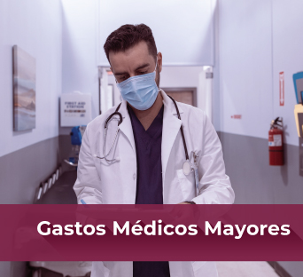 Simulador de gastos médicos