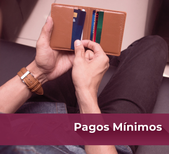 Simulador pagos mínimos