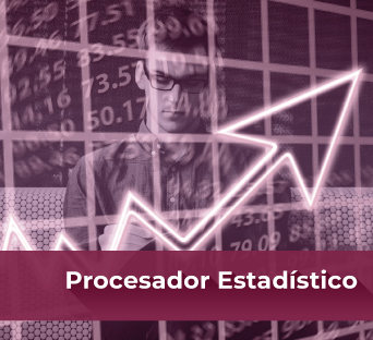 Procesador estadístico