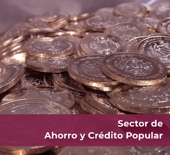 Sector de Ahorro y Crédito Popular