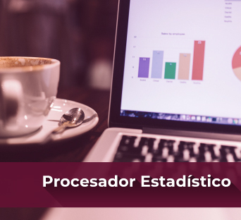 Procesador estadístico